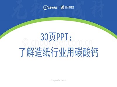 30PPT˽켈ИI̼}